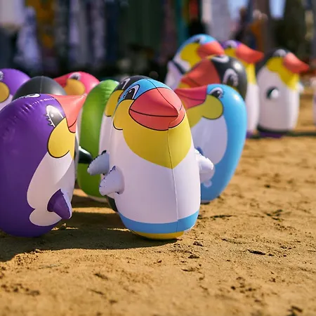 度假居 House And In 38402