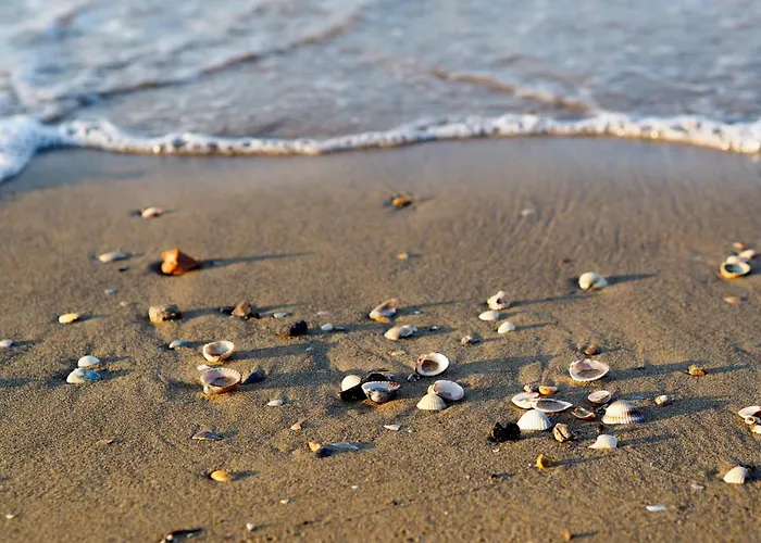 House And In 38402 Σπίτι διακοπών